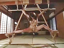 Japanese Ropebondage9