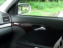 Racy hitchhiker WowLara boned inside the forest