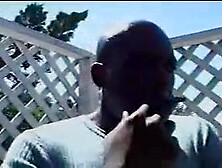 Lexington Steeles Enormous Metal with jewel Denyle