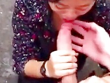 Chinese Gf Big Cock Outdoor Blowjob Facial