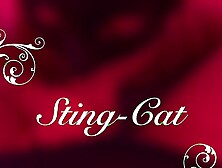 Big beef it worries me first video!!!