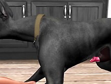 A young woman guards the house