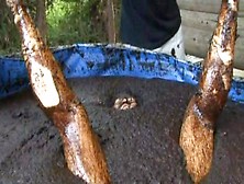 Japanese Cow Scat Dunking