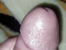 Hot sex whore beautiful girl bitch arab