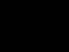 Dr.  Lomp 04