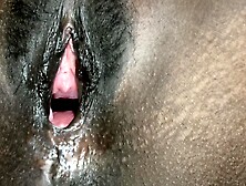 Black Pussy White Penis Enjoy To Indian Girl