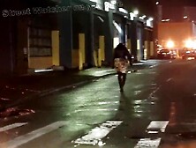 Hokkers on the move 1