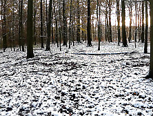 Throwing Snow Balls On Her Naked Tits In The Woods