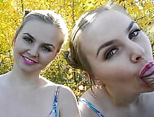 In a city park,  he spread a to suction for money