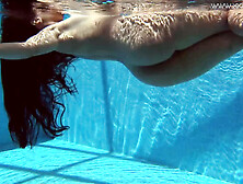 Andreina Swims Naked And Beautiful In The Pool