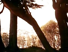 ANDVENTURES OF CANDY 1978