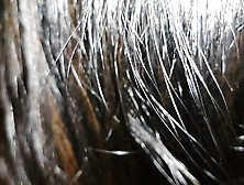 Celebrity and Actross Anne and Alex Fuck with Massive tits and monstrous with hard nipple