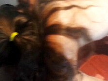 fever on a saturday night