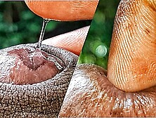 I Tease you by Playing with my Lovely Precum and Fingered my Prick Hole Extreme Close up