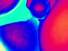 Large 12 inch HORSE JOCK creampies slaves booty and throat.