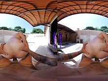 Purityvr Perversions In Public Pool With Izadora