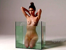 Naked Shoot In An Aquarium