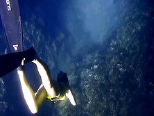 FREEDIVE 1