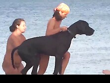 Ramona Porumb - Nudist Beach (Romanian politician)