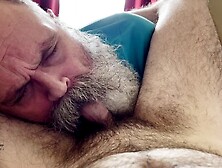 Bearded Grandpa Indulges In Hairy Bear Cock Sucking Session