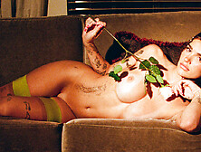 Young invites us into a world of glamour