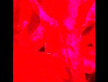 Passionately fucking real sex
