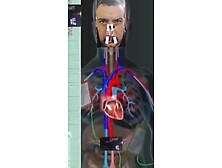 stein,  AusztriaSümeg,  Tóth Tivadar u.  19,  8330Zur Linde 1,  8943 Aigen im Ennstal,  Aus 26