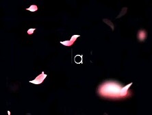 Llamo al plomero y me destapa la cañería | X: CanelaSUA